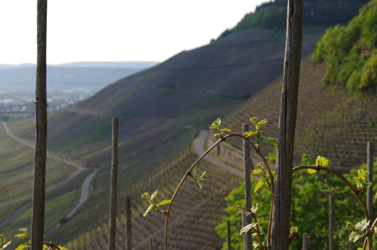 Weingut Weich Otel Riol Dış mekan fotoğraf
