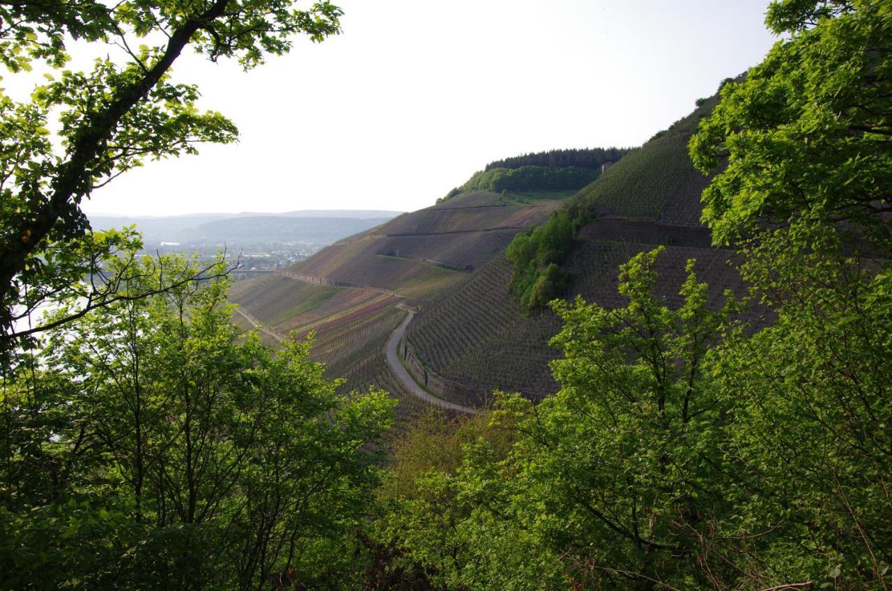 Weingut Weich Otel Riol Dış mekan fotoğraf