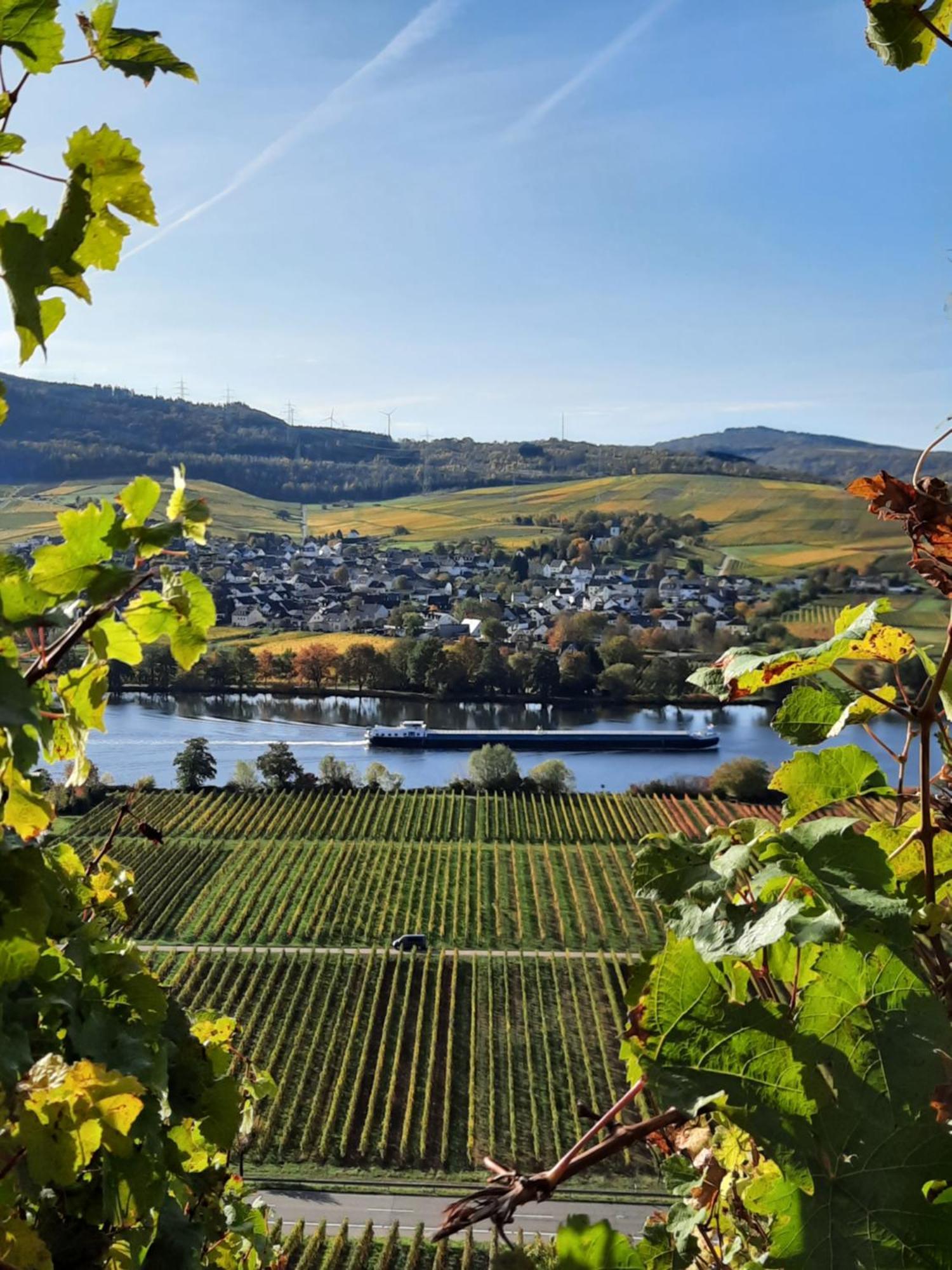 Weingut Weich Otel Riol Dış mekan fotoğraf